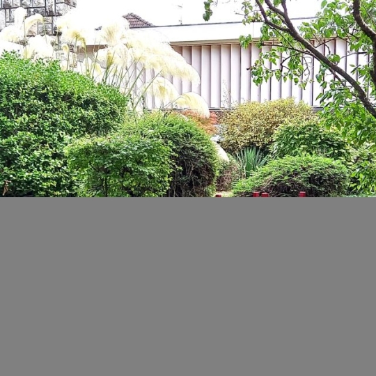  Annonces SAINTJULIENENGENEVOIS : Maison / Villa | ANNEMASSE (74100) | 300 m2 | 1 680 000 &euro; 
