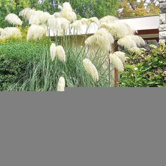  Annonces SAINTJULIENENGENEVOIS : Maison / Villa | ANNEMASSE (74100) | 300 m2 | 1 680 000 &euro; 