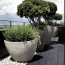 Annonces SAINTJULIENENGENEVOIS : Appartement | THOIRY (01710) | 65 m2 | 389 500 &euro; 