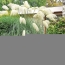  Annonces SAINTJULIENENGENEVOIS : Maison / Villa | ANNEMASSE (74100) | 300 m2 | 1 680 000 &euro; 