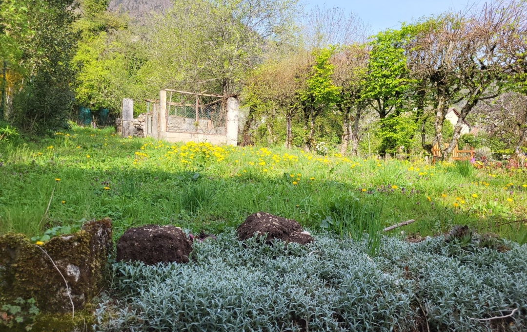 Annonces SAINTJULIENENGENEVOIS : Autres | COLLONGES (01550) | 130 m2 | 225 000 &euro; 