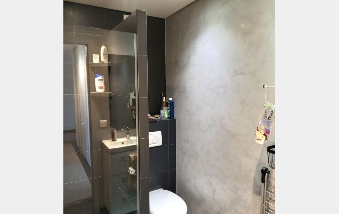 Annonces SAINTJULIENENGENEVOIS : Appartement | ANNEMASSE (74100) | 105 m2 | 490 000 &euro; 